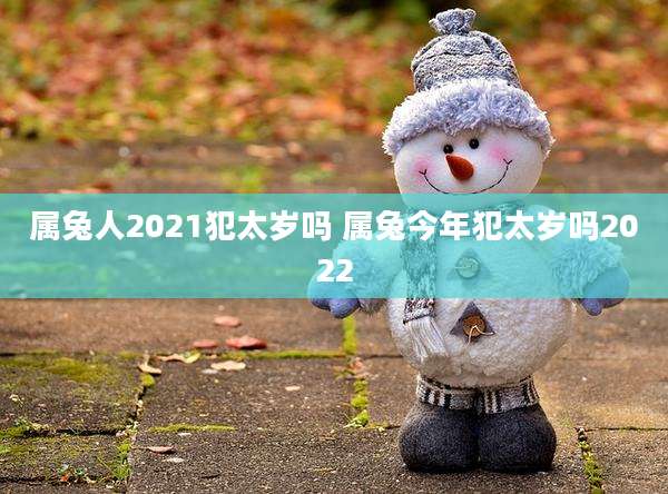 属兔人2021犯太岁吗 属兔今年犯太岁吗2022