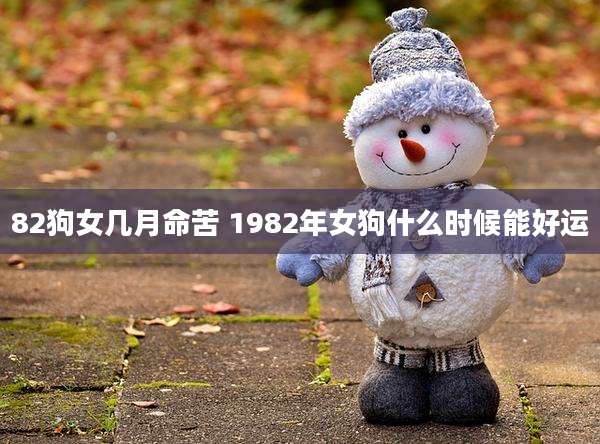 82狗女几月命苦 1982年女狗什么时候能好运