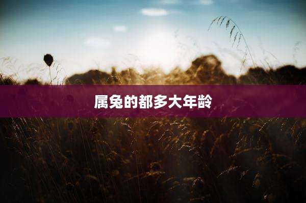 属兔的都多大年龄