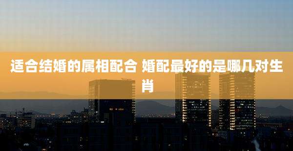 适合结婚的属相配合 婚配最好的是哪几对生肖