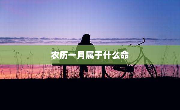 农历一月属于什么命