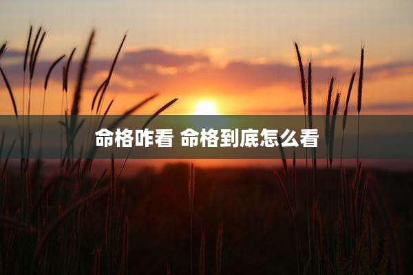 命格咋看 命格到底怎么看