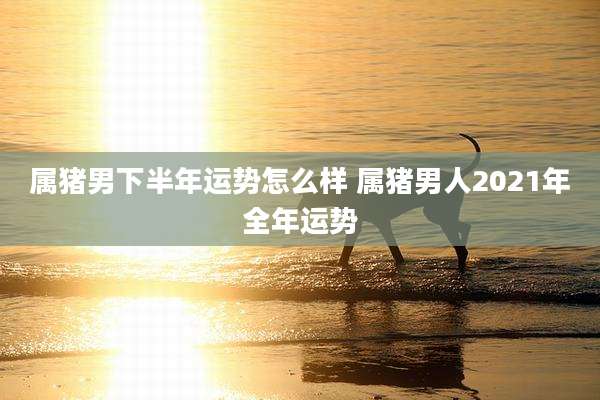属猪男下半年运势怎么样 属猪男人2021年全年运势