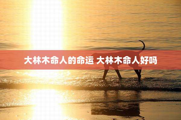 大林木命人的命运 大林木命人好吗