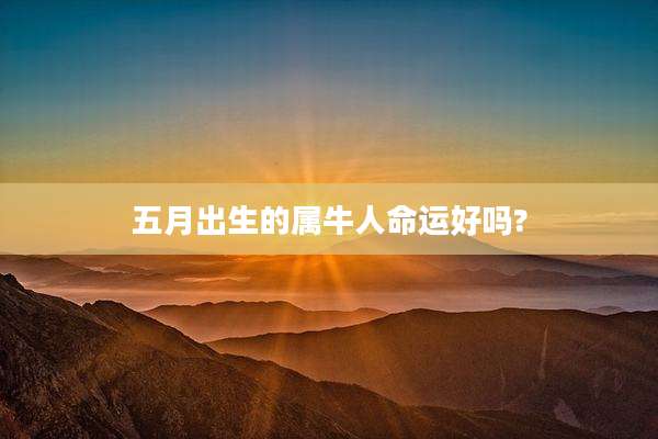 五月出生的属牛人命运好吗?