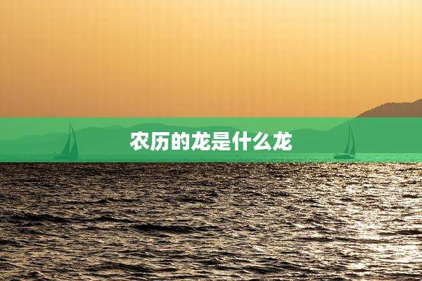 农历的龙是什么龙