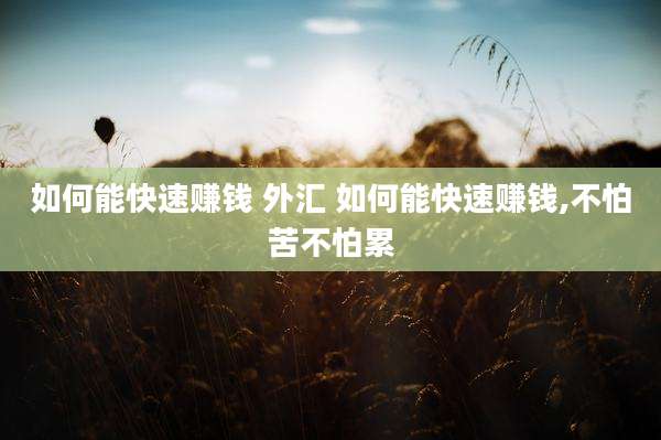 如何能快速赚钱 外汇 如何能快速赚钱,不怕苦不怕累
