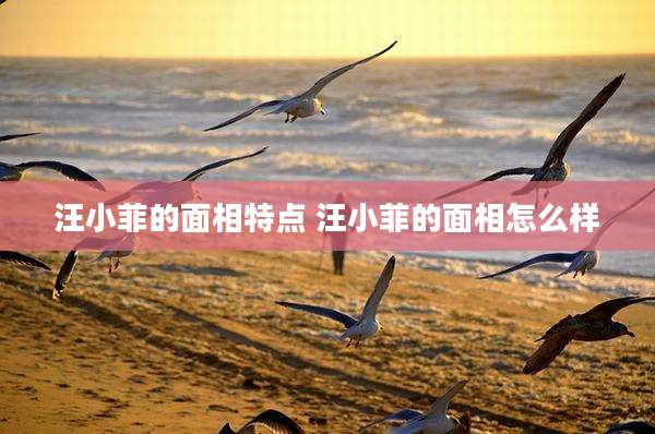 汪小菲的面相特点 汪小菲的面相怎么样