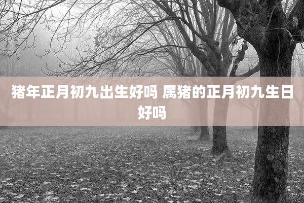 猪年正月初九出生好吗 属猪的正月初九生日好吗