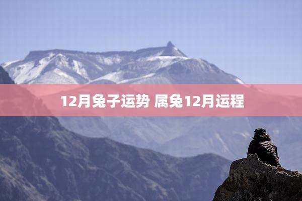12月兔子运势 属兔12月运程