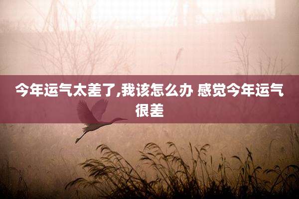 今年运气太差了,我该怎么办 感觉今年运气很差