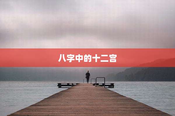 八字中的十二宫