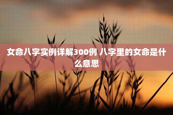 女命八字实例详解300例 八字里的女命是什么意思