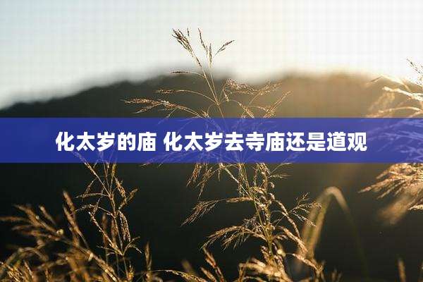 化太岁的庙 化太岁去寺庙还是道观