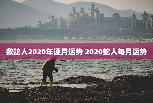 数蛇人2020年逐月运势 2020蛇人每月运势