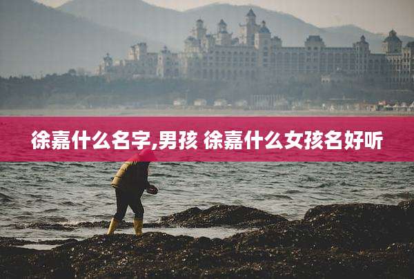 徐嘉什么名字,男孩 徐嘉什么女孩名好听