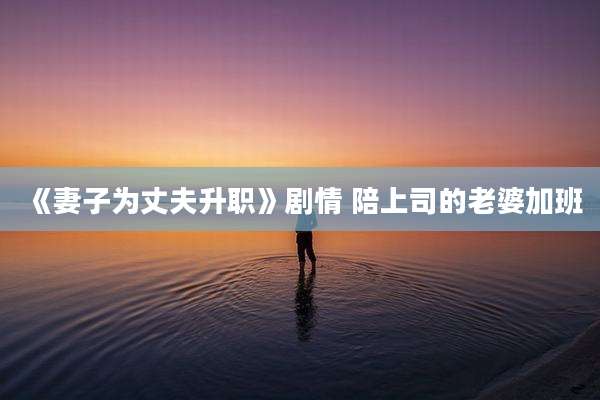 《妻子为丈夫升职》剧情 陪上司的老婆加班