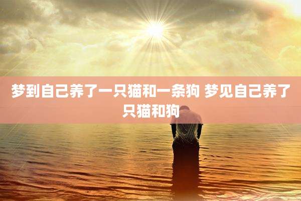 梦到自己养了一只猫和一条狗 梦见自己养了只猫和狗