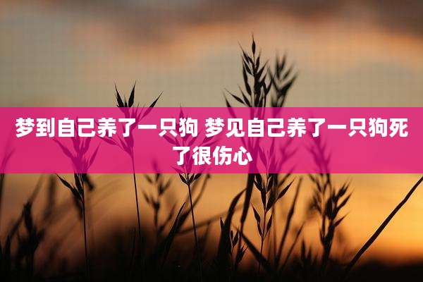 梦到自己养了一只狗 梦见自己养了一只狗死了很伤心