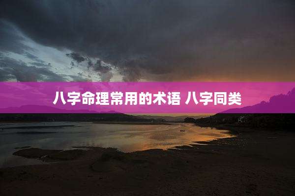 八字命理常用的术语 八字同类