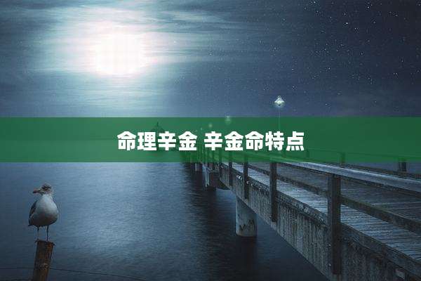 命理辛金 辛金命特点