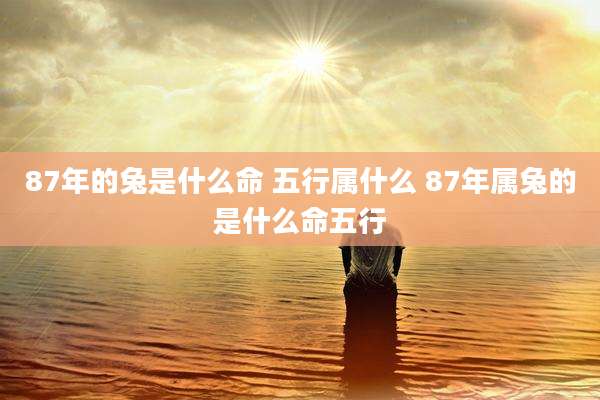 87年的兔是什么命 五行属什么 87年属兔的是什么命五行