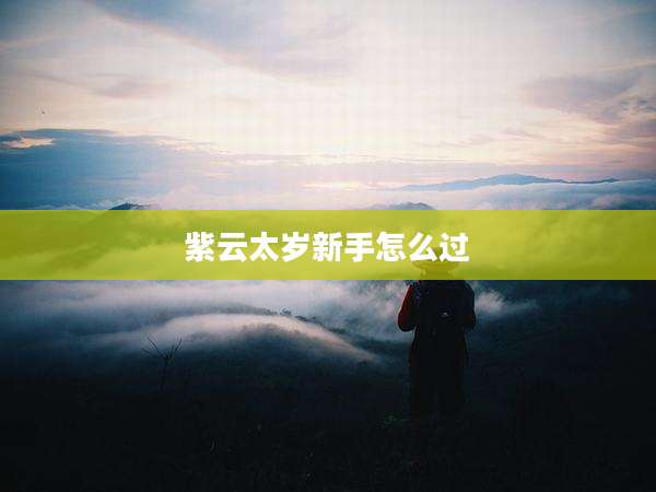 紫云太岁新手怎么过