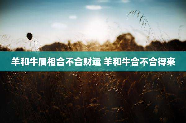 羊和牛属相合不合财运 羊和牛合不合得来