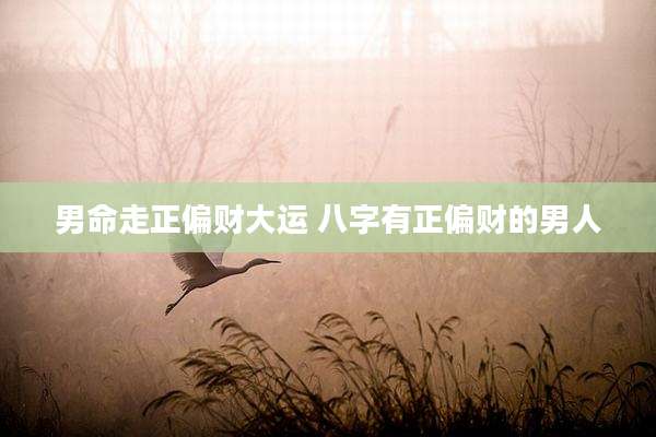 男命走正偏财大运 八字有正偏财的男人