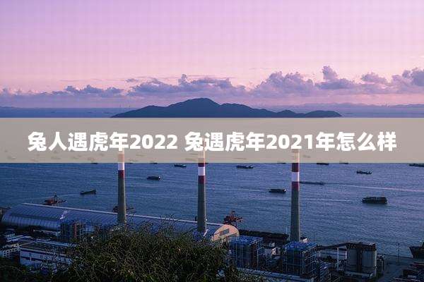 兔人遇虎年2022 兔遇虎年2021年怎么样