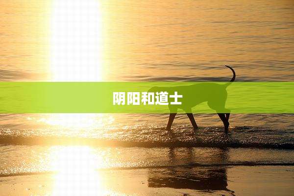 阴阳和道士
