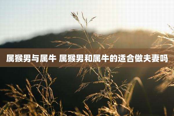 属猴男与属牛 属猴男和属牛的适合做夫妻吗