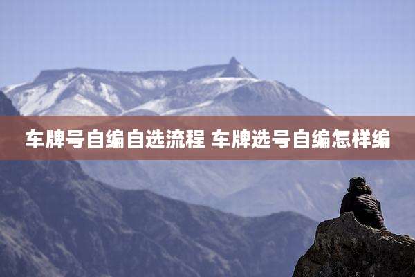 车牌号自编自选流程 车牌选号自编怎样编