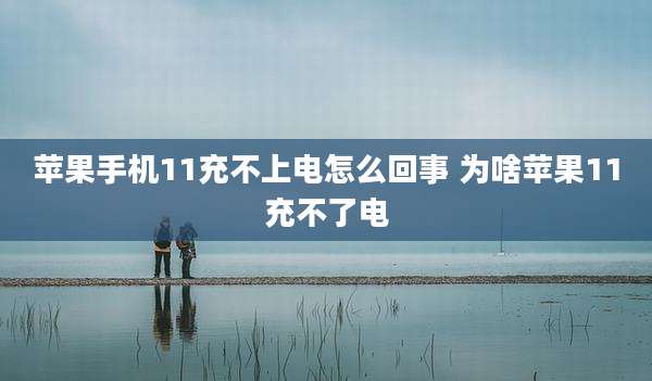 苹果手机11充不上电怎么回事 为啥苹果11充不了电