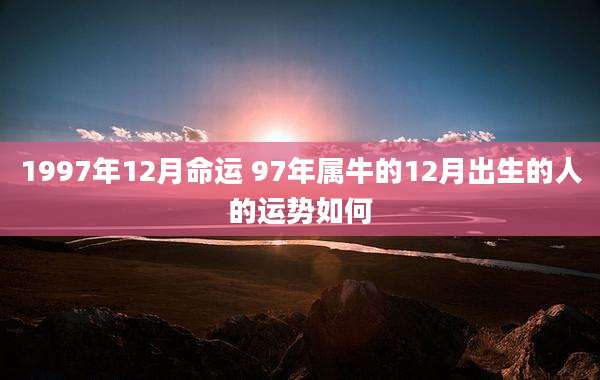 1997年12月命运 97年属牛的12月出生的人的运势如何