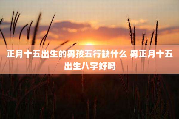 正月十五出生的男孩五行缺什么 男正月十五出生八字好吗