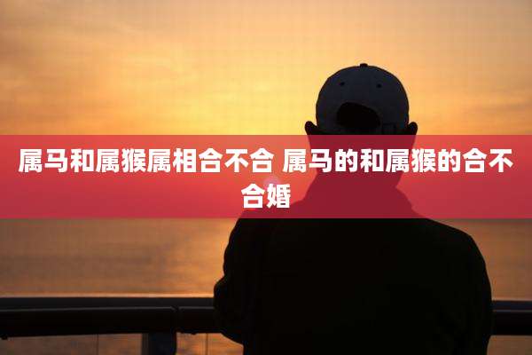 属马和属猴属相合不合 属马的和属猴的合不合婚