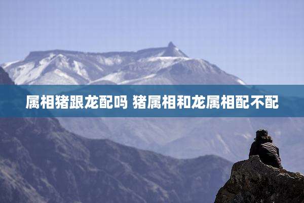 属相猪跟龙配吗 猪属相和龙属相配不配