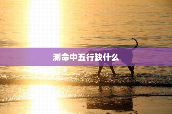 测命中五行缺什么