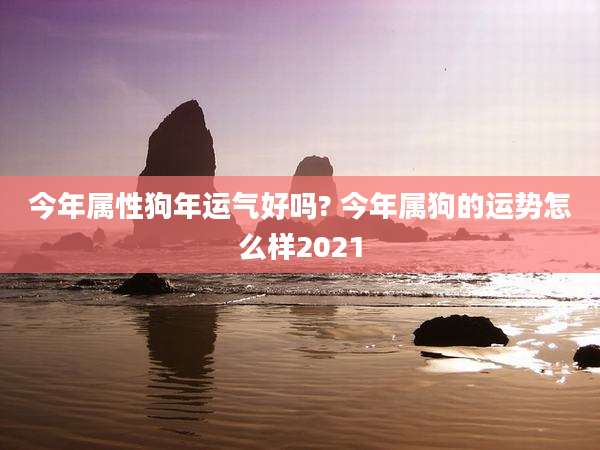 今年属性狗年运气好吗? 今年属狗的运势怎么样2021