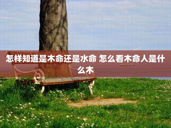 怎样知道是木命还是水命 怎么看木命人是什么木