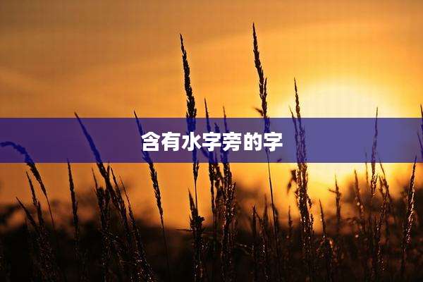 含有水字旁的字