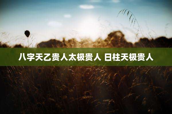 八字天乙贵人太极贵人 日柱天极贵人