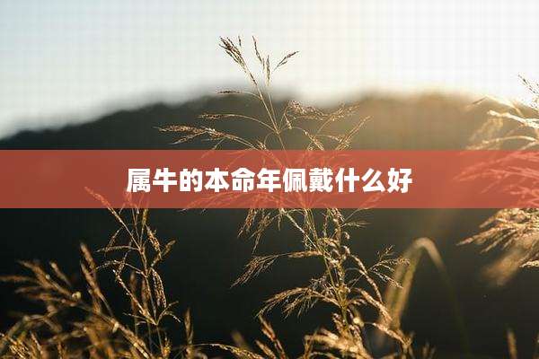 属牛的本命年佩戴什么好