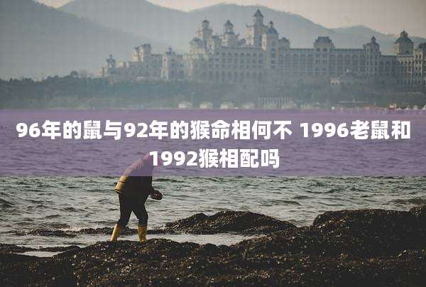 96年的鼠与92年的猴命相何不 1996老鼠和1992猴相配吗