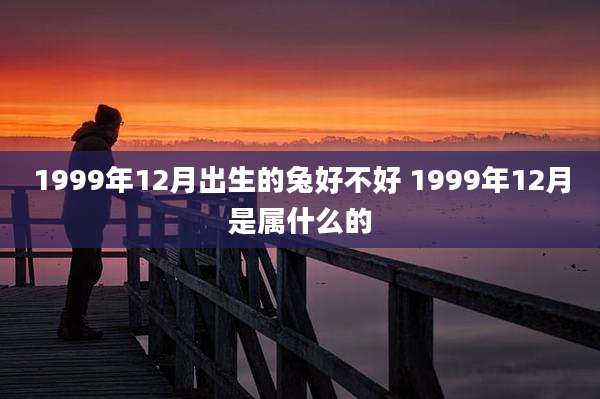 1999年12月出生的兔好不好 1999年12月是属什么的