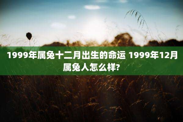1999年属兔十二月出生的命运 1999年12月属兔人怎么样?