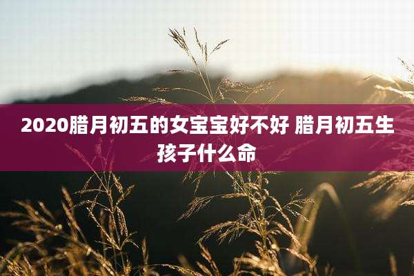 2020腊月初五的女宝宝好不好 腊月初五生孩子什么命