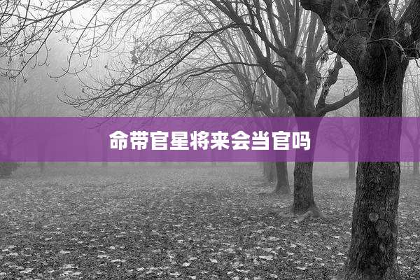 命带官星将来会当官吗