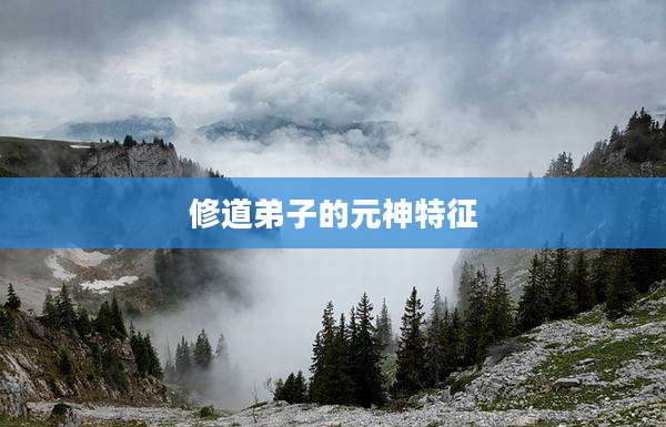修道弟子的元神特征